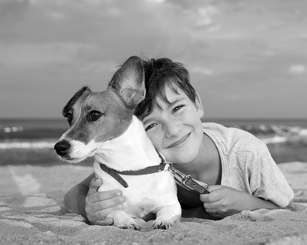 Rehoming a pet Rehoming a pet