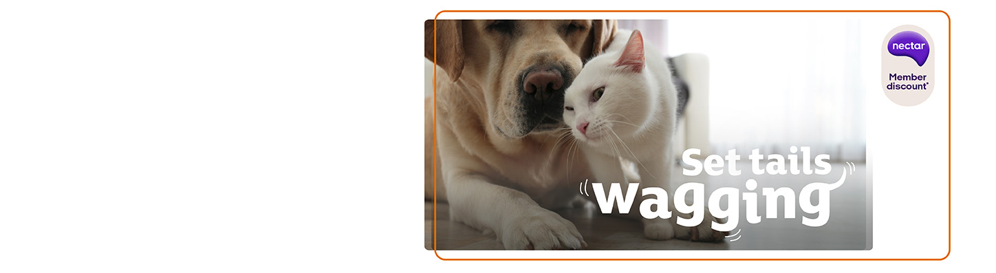 Vet Assistance