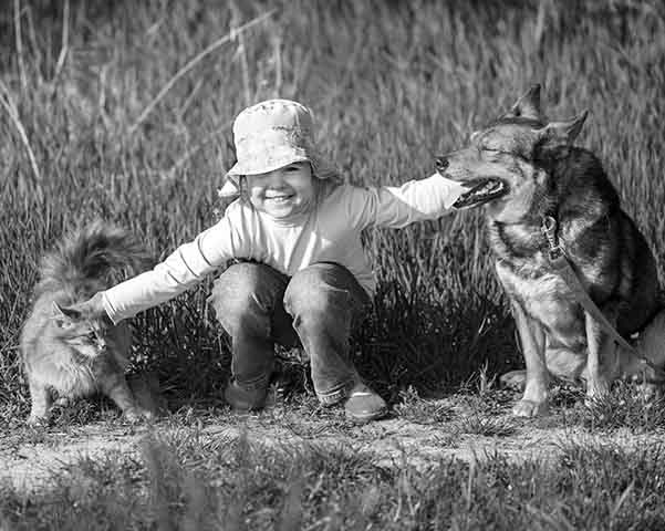 United Kingdom of cats and dogs United Kingdom of cats and dogs